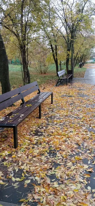 Осеняя пора