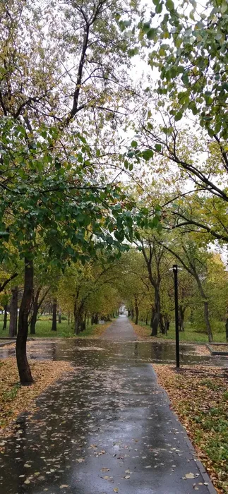 Осеняя пора